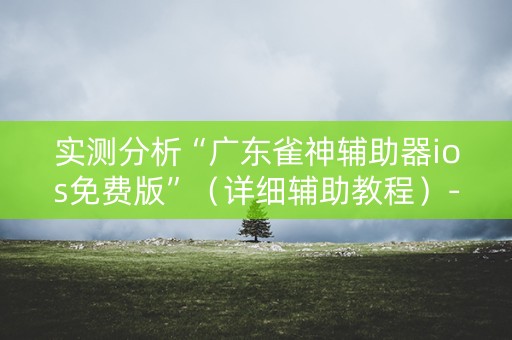 实测分析“广东雀神辅助器ios免费版”（详细辅助教程）-哔哩哔哩