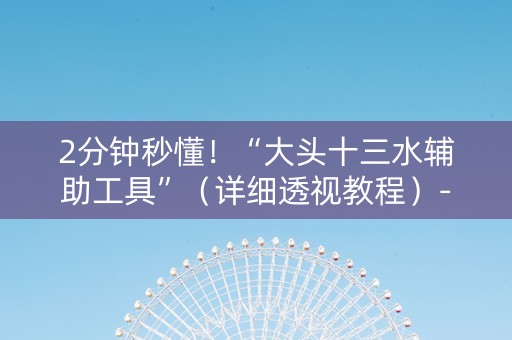 2分钟秒懂！“大头十三水辅助工具”（详细透视教程）-哔哩哔哩