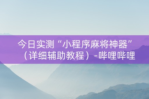 今日实测“小程序麻将神器”（详细辅助教程）-哔哩哔哩