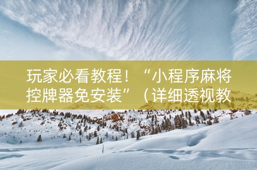 玩家必看教程！“小程序麻将控牌器免安装”（详细透视教程）-哔哩哔哩