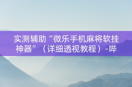实测辅助“微乐手机麻将软挂神器”（详细透视教程）-哔哩哔哩