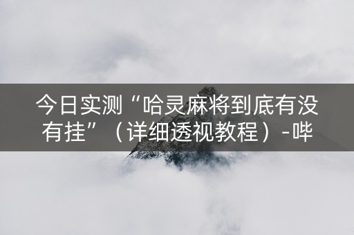 今日实测“哈灵麻将到底有没有挂”（详细透视教程）-哔哩哔哩