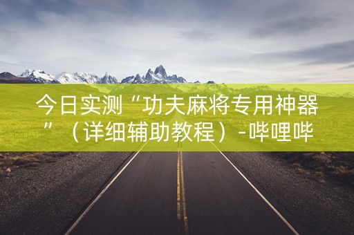 今日实测“功夫麻将专用神器”（详细辅助教程）-哔哩哔哩