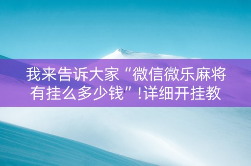我来告诉大家“微信微乐麻将有挂么多少钱”!详细开挂教程-知乎