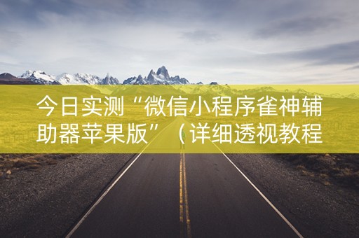 今日实测“微信小程序雀神辅助器苹果版”（详细透视教程）-哔哩哔哩