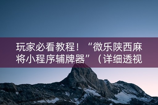 玩家必看教程！“微乐陕西麻将小程序辅牌器”（详细透视教程）-哔哩哔哩
