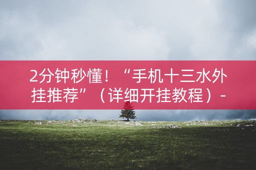 2分钟秒懂！“手机十三水外挂推荐”（详细开挂教程）-哔哩哔哩