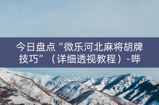 今日盘点“微乐河北麻将胡牌技巧”（详细透视教程）-哔哩哔哩
