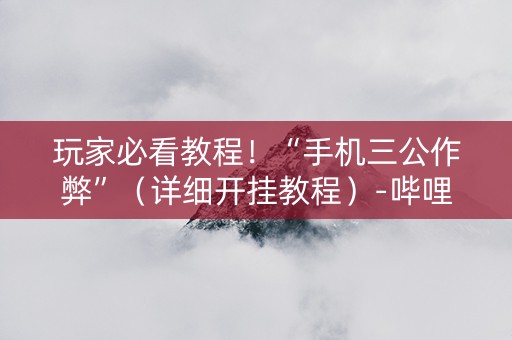 玩家必看教程！“手机三公作弊”（详细开挂教程）-哔哩哔哩