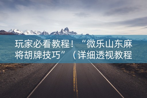 玩家必看教程！“微乐山东麻将胡牌技巧”（详细透视教程）-哔哩哔哩