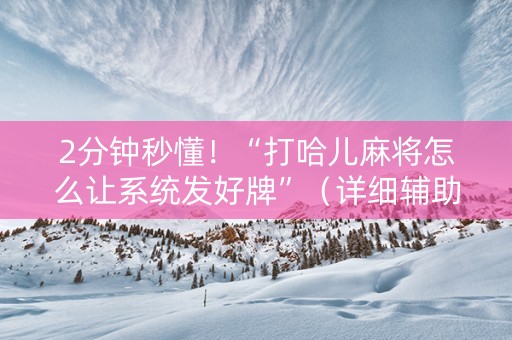 2分钟秒懂！“打哈儿麻将怎么让系统发好牌”（详细辅助教程）-哔哩哔哩