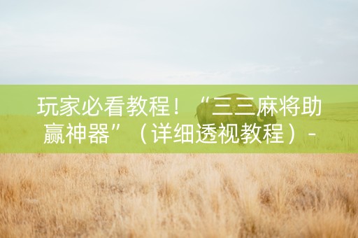 玩家必看教程！“三三麻将助赢神器”（详细透视教程）-哔哩哔哩