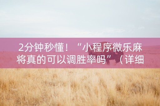 2分钟秒懂！“小程序微乐麻将真的可以调胜率吗”（详细透视教程）-哔哩哔哩