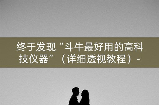 终于发现“斗牛最好用的高科技仪器”（详细透视教程）-哔哩哔哩