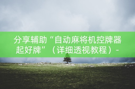 分享辅助“自动麻将机控牌器起好牌”（详细透视教程）-哔哩哔哩