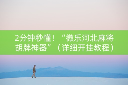 2分钟秒懂！“微乐河北麻将胡牌神器”（详细开挂教程）-哔哩哔哩