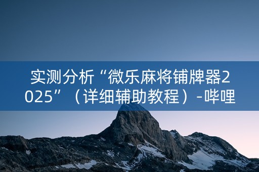实测分析“微乐麻将铺牌器2025”（详细辅助教程）-哔哩哔哩