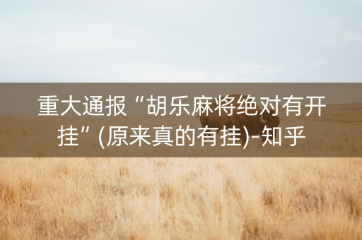 重大通报“胡乐麻将绝对有开挂”(原来真的有挂)-知乎