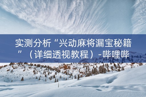 实测分析“兴动麻将漏宝秘籍”（详细透视教程）-哔哩哔哩