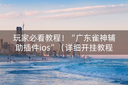 玩家必看教程！“广东雀神辅助插件ios”（详细开挂教程）-哔哩哔哩
