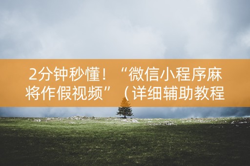 2分钟秒懂！“微信小程序麻将作假视频”（详细辅助教程）-哔哩哔哩