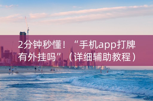 2分钟秒懂！“手机app打牌有外挂吗”（详细辅助教程）-哔哩哔哩