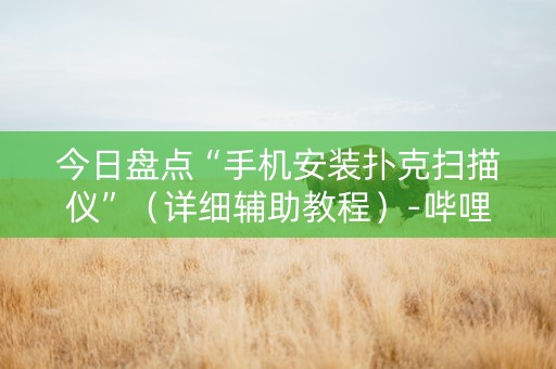 今日盘点“手机安装扑克扫描仪”（详细辅助教程）-哔哩哔哩