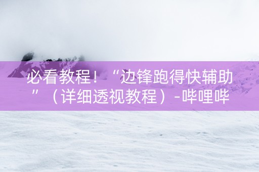 必看教程！“边锋跑得快辅助”（详细透视教程）-哔哩哔哩