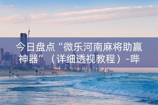 今日盘点“微乐河南麻将助赢神器”（详细透视教程）-哔哩哔哩