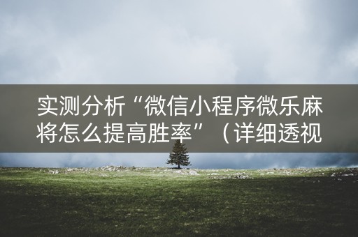 实测分析“微信小程序微乐麻将怎么提高胜率”（详细透视教程）-哔哩哔哩