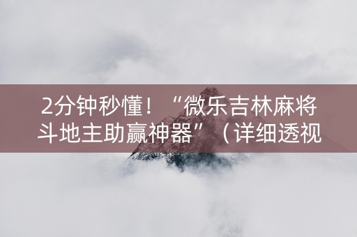2分钟秒懂！“微乐吉林麻将斗地主助赢神器”（详细透视教程）-哔哩哔哩