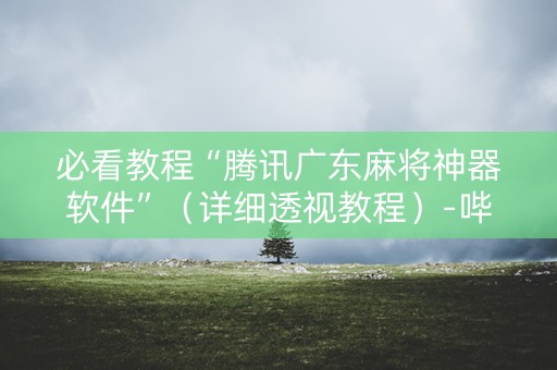 必看教程“腾讯广东麻将神器软件”（详细透视教程）-哔哩哔哩