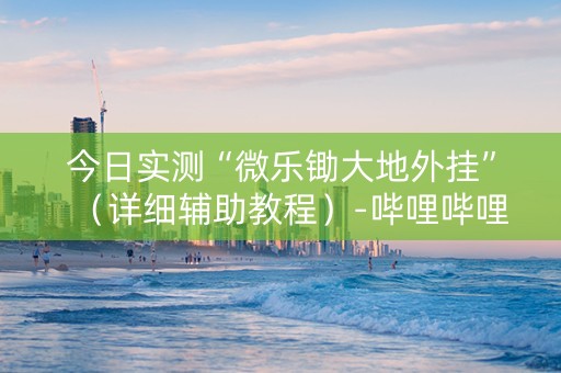 今日实测“微乐锄大地外挂”（详细辅助教程）-哔哩哔哩