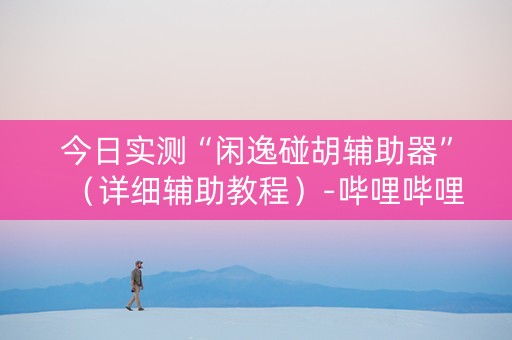 今日实测“闲逸碰胡辅助器”（详细辅助教程）-哔哩哔哩