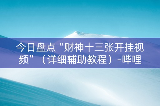 今日盘点“财神十三张开挂视频”（详细辅助教程）-哔哩哔哩