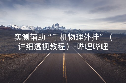 实测辅助“手机物理外挂”（详细透视教程）-哔哩哔哩