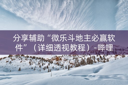 分享辅助“微乐斗地主必赢软件”（详细透视教程）-哔哩哔哩