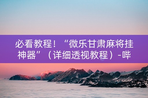 必看教程！“微乐甘肃麻将挂神器”（详细透视教程）-哔哩哔哩