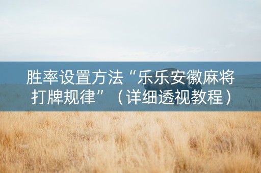胜率设置方法“乐乐安徽麻将打牌规律”（详细透视教程）-哔哩哔哩