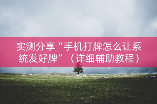 实测分享“手机打牌怎么让系统发好牌”（详细辅助教程）-哔哩哔哩