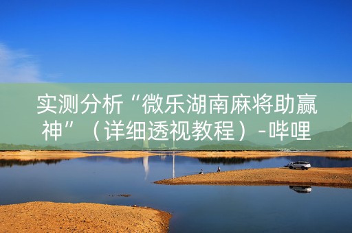 实测分析“微乐湖南麻将助赢神”（详细透视教程）-哔哩哔哩