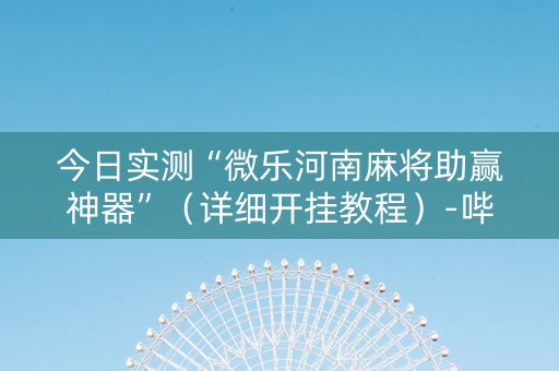 今日实测“微乐河南麻将助赢神器”（详细开挂教程）-哔哩哔哩