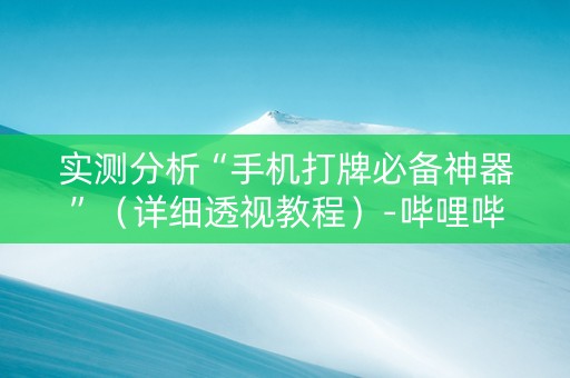 实测分析“手机打牌必备神器”（详细透视教程）-哔哩哔哩