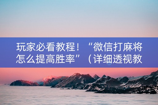 玩家必看教程！“微信打麻将怎么提高胜率”（详细透视教程）-哔哩哔哩