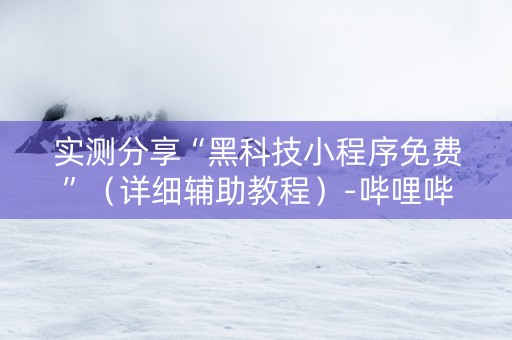 实测分享“黑科技小程序免费”（详细辅助教程）-哔哩哔哩