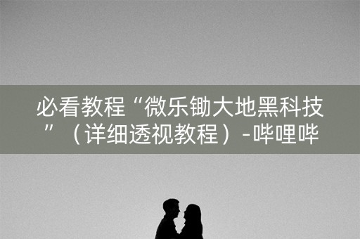 必看教程“微乐锄大地黑科技”（详细透视教程）-哔哩哔哩
