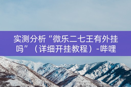 实测分析“微乐二七王有外挂吗”（详细开挂教程）-哔哩哔哩