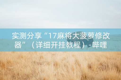 实测分享“17麻将大菠萝修改器”（详细开挂教程）-哔哩哔哩