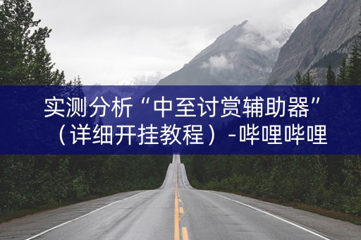 实测分析“中至讨赏辅助器”（详细开挂教程）-哔哩哔哩