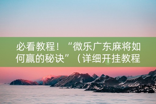 必看教程！“微乐广东麻将如何赢的秘诀”（详细开挂教程）-哔哩哔哩